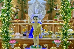 2025-05-VTT-Dai-Le-Phat-Dan-004-of-130
