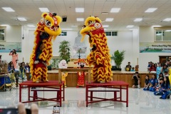 2025-10-VTT-Tet-Trung-Thu-152-of-180